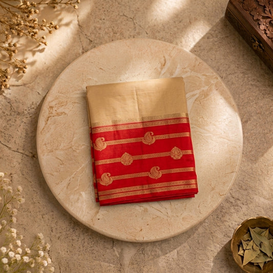 Kaveri-  Chikoo